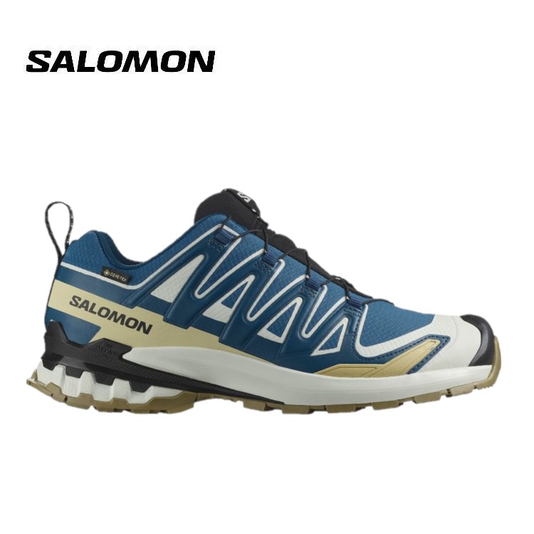 楽天市場】(S)サロモン / L47817400 / XAプロ3D V9ゴアテックスメンズ