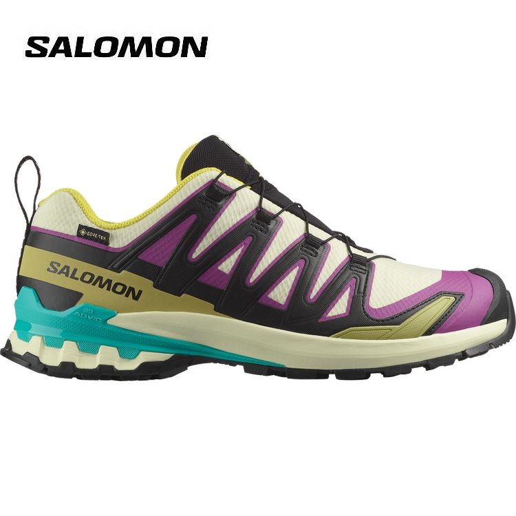 楽天市場】サロモン SALOMON メンズ TOUNDRA PRO CLIMASALOMON
