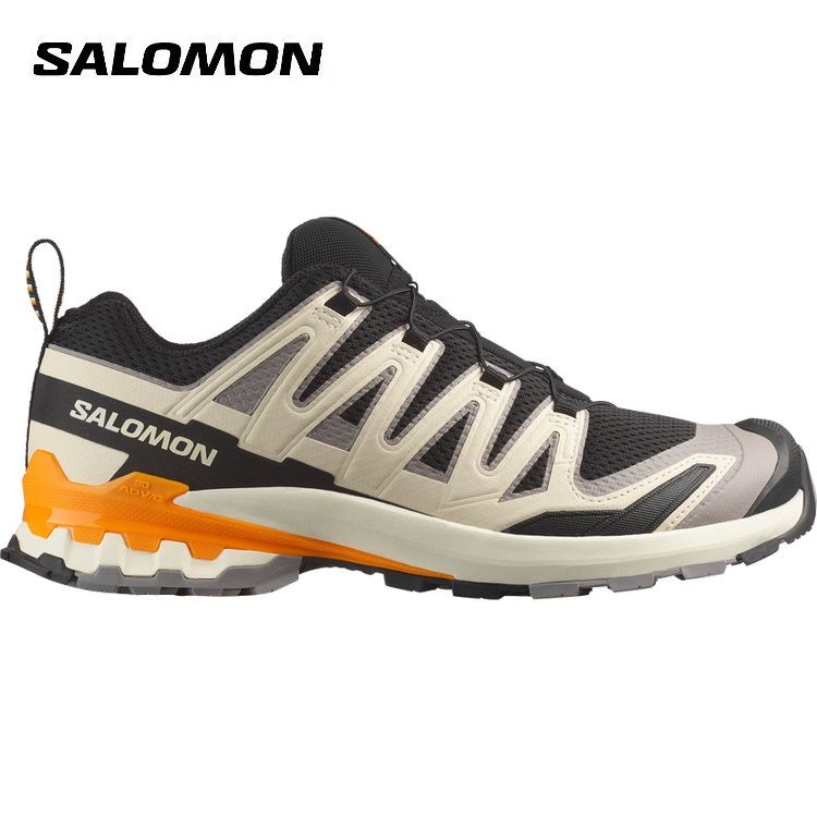 【全品ポイントUP中】 サロモン SALOMON メンズ XA PRO 3D V9 250 L47882700 ゴアテックス 防水 トレイルランニング トレラン 靴 シューズ スニーカー｜トランスレーション 店
