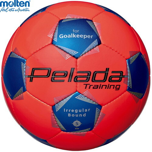 楽天市場】HO SOCCER（エイチオーサッカー）GK キーパー トレーニング