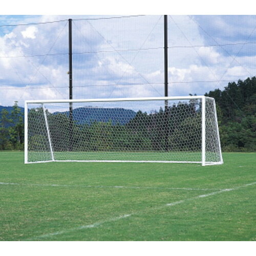 サッカー ゴ―ル 楽天市場】ニシ・スポーツ（NISHI）NF2205 サッカー サッカー