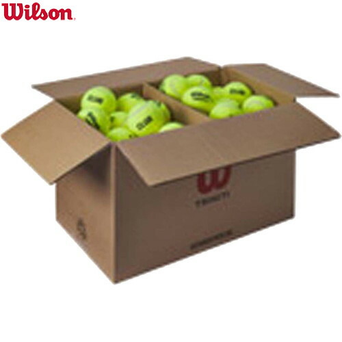 ■貨物輸送無料■【WILSON】ウイルソン WR82015010 TRINITI CLUB TBALL Yellow[庭球/どんぶり鉢/硬式/野球クラブ/部活/訓練を受ける/形づくる/1箱72球入り口・入口]【RCP】
