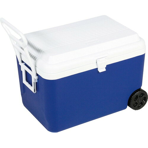 ★メーカー直送品★【ZETT】ゼット体育器具 ZR301 ホイールクーラー 60L[キャンセル不可/※代金引換、後払い決済不可][※事前銀行振込orカード決済のみ][アウトドア/クーラーボックス/部活/合宿/試合/キャンプ]※送料別途見積り【RCP】
