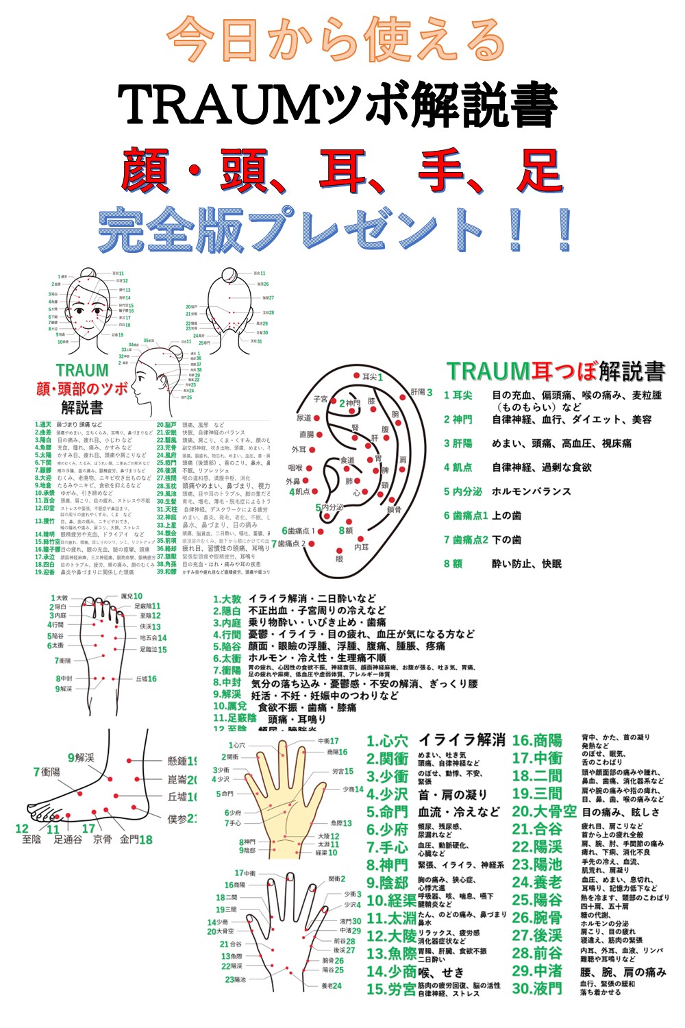 驚きの値段 2袋セット マグレイン 阪村研究所 Traumツボ解説書付 Top Mineral Co Il