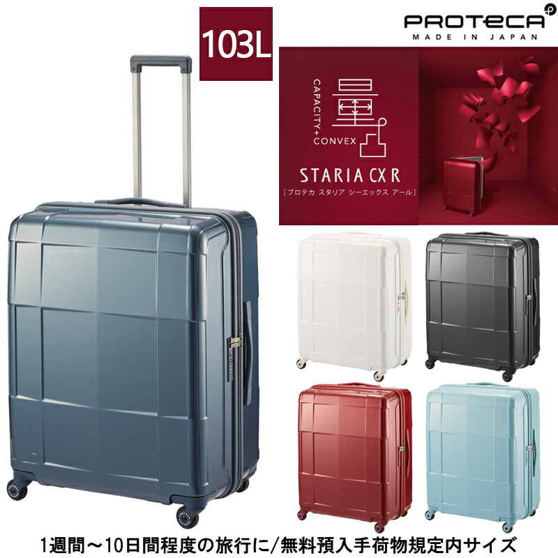 楽天市場】【SALE】エース プロテカ フリーウォーカーD 02732