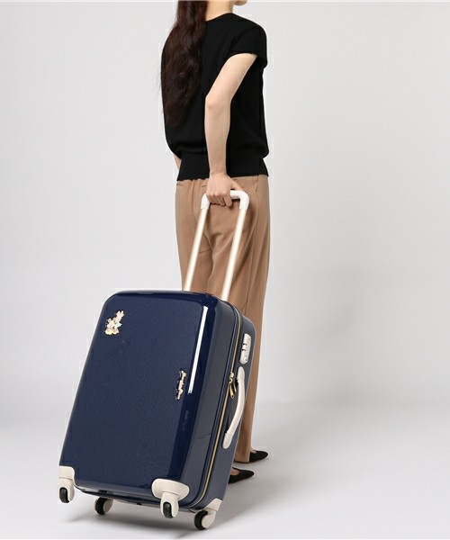 楽天市場 アウトレット Ace エース スーツケース Ae ジュエルナローズ ディズニー ミッキー ミニー キャリーケース 旅行鞄 Sサイズ 小型 スーツケースの旅のワールド