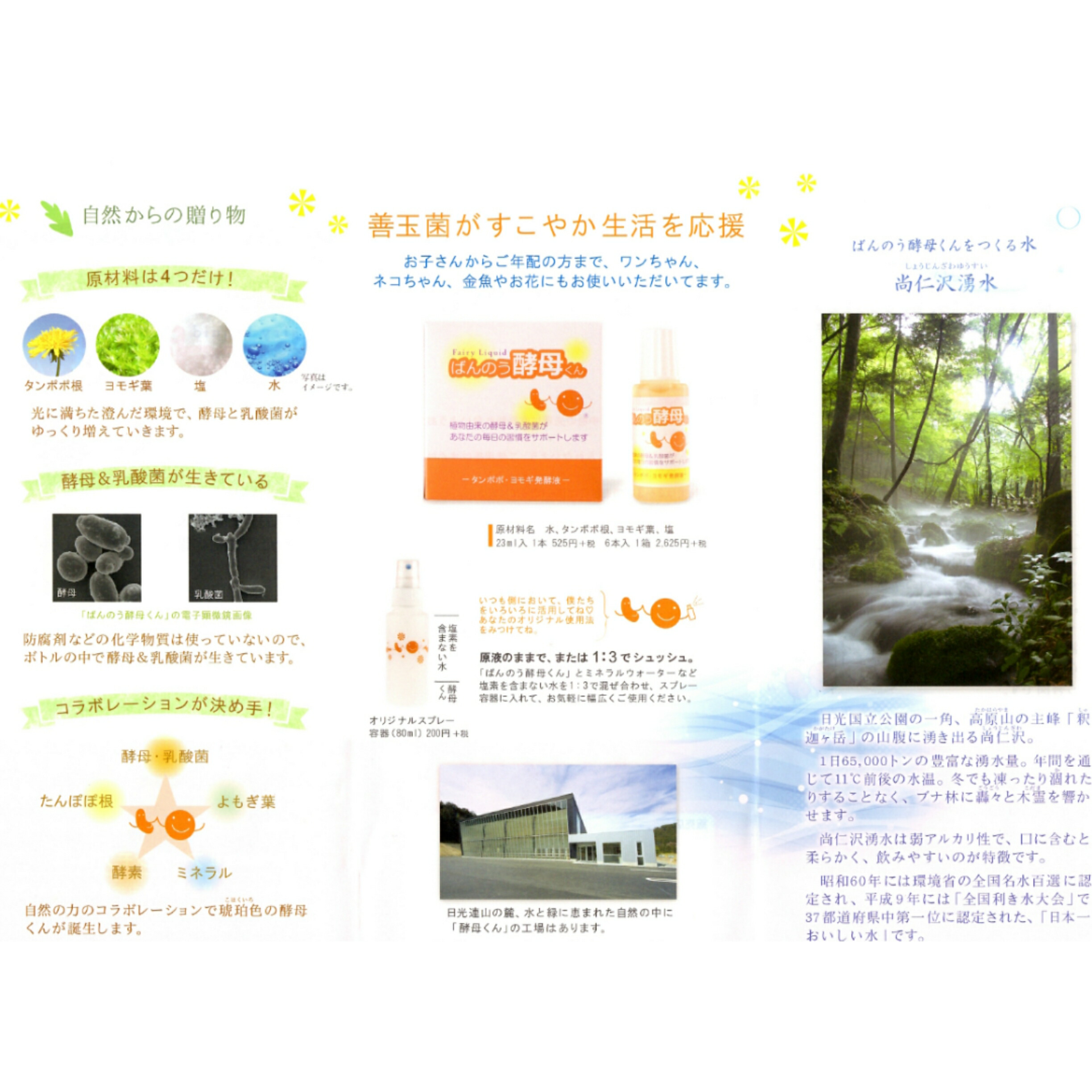 ばんのうイーストくん 全能酵母くん 23ml 12篇組 アーデンモア 置き目沽券 貨物輸送無料 翌商賈昼差し出し Cannes Encheres Com