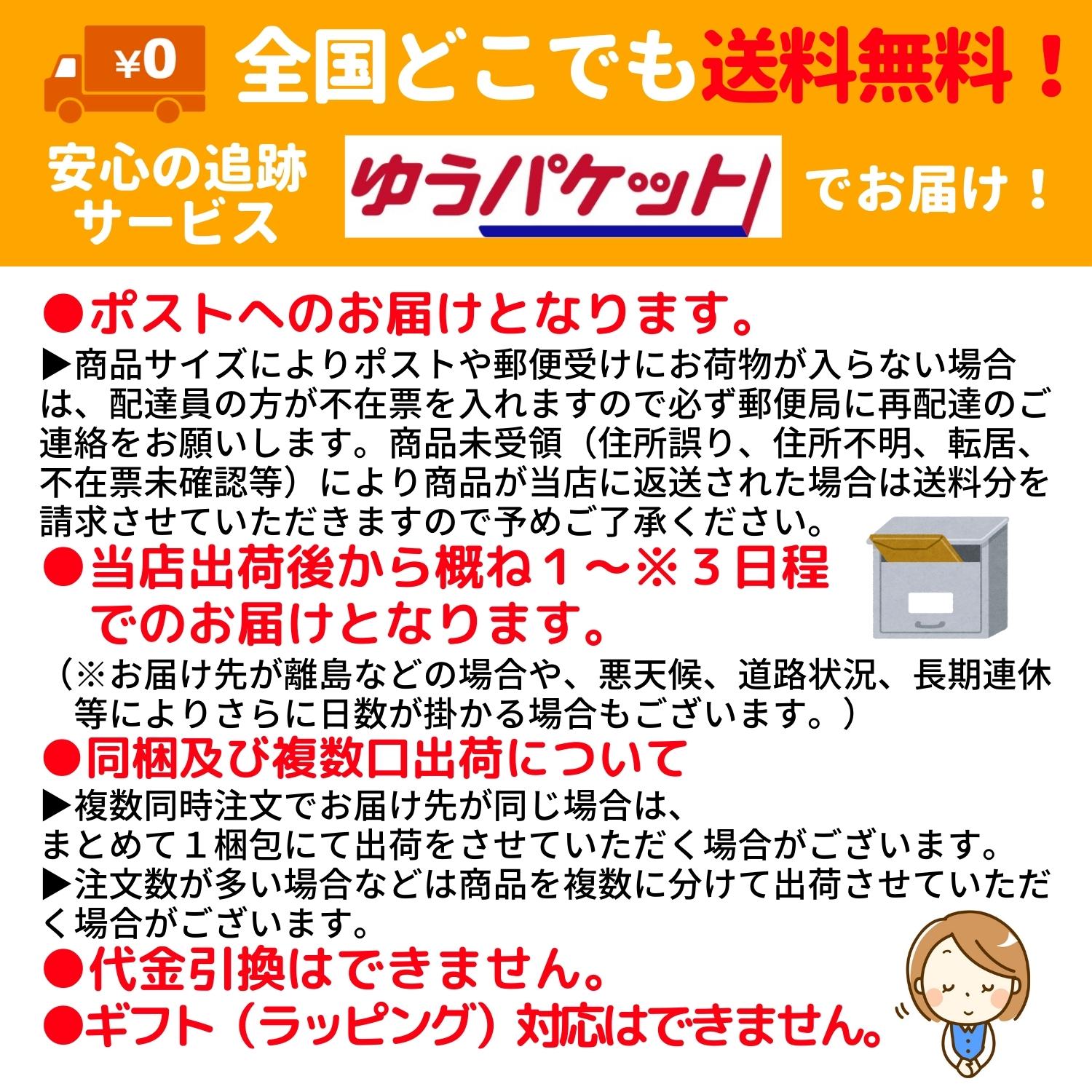 648円 最終決算 国産 北海道 淡路島 100% 玉ねぎの皮 粉末 100g 2個セット ケルセチン 送料無料 翌営業日出荷