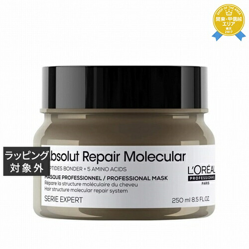 アブソルート R モレキュラー リーブイン2本 アブソルート R モレキュラー ダメージヘアのための補修リーブ