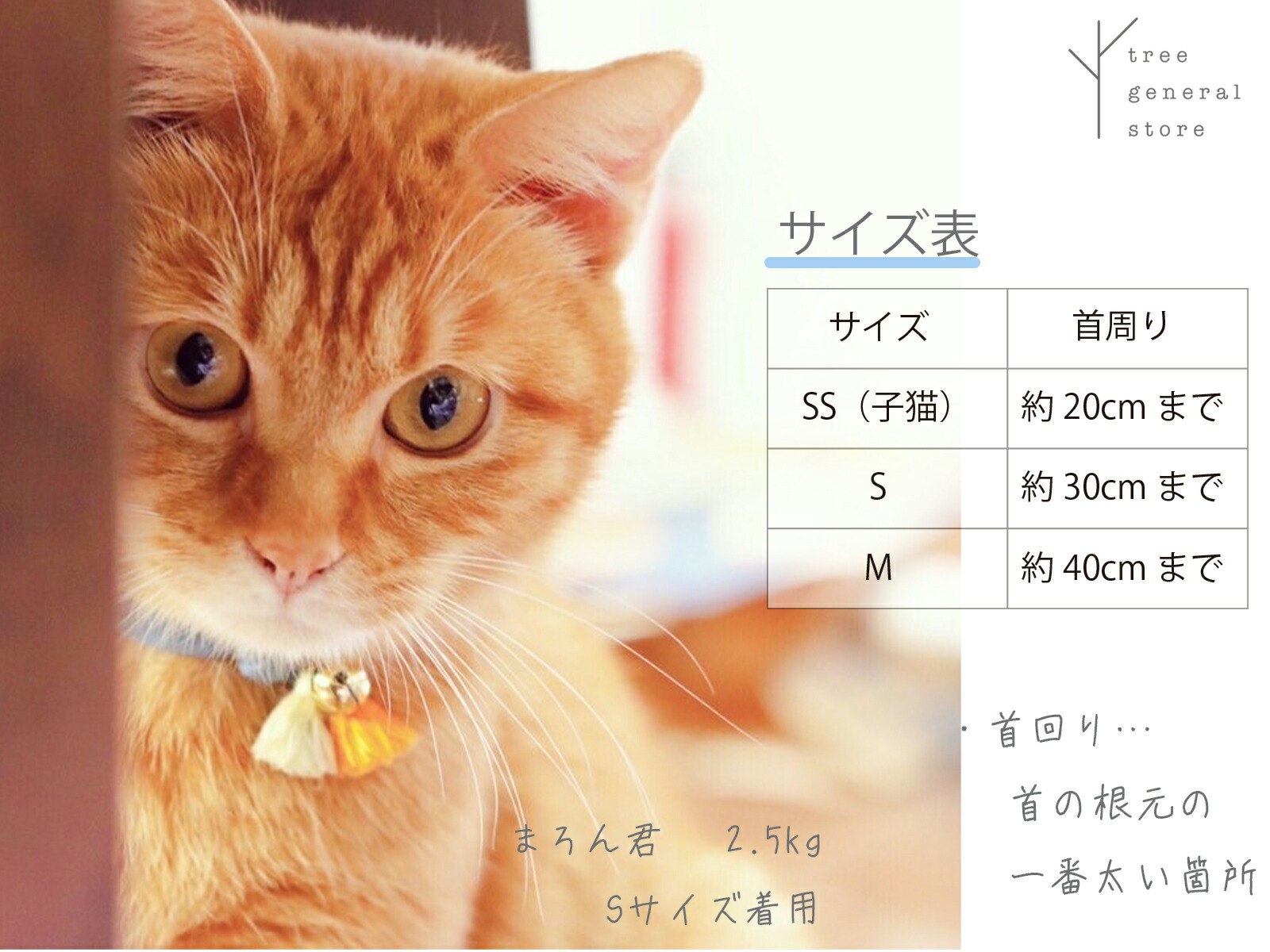 楽天市場 クリックポスト送料無料 猫 首輪 ひも鈴付き Ss S M 柔らかい 北欧ひも Cc 花柄 カラフル ボーダー ベージュ グリーン 緑 グレー 子猫 子犬 パピー 大きめ 大型 おしゃれ かわいい シンプル ペットグッズ ツリー トランク Tree Trunk Tree General Store