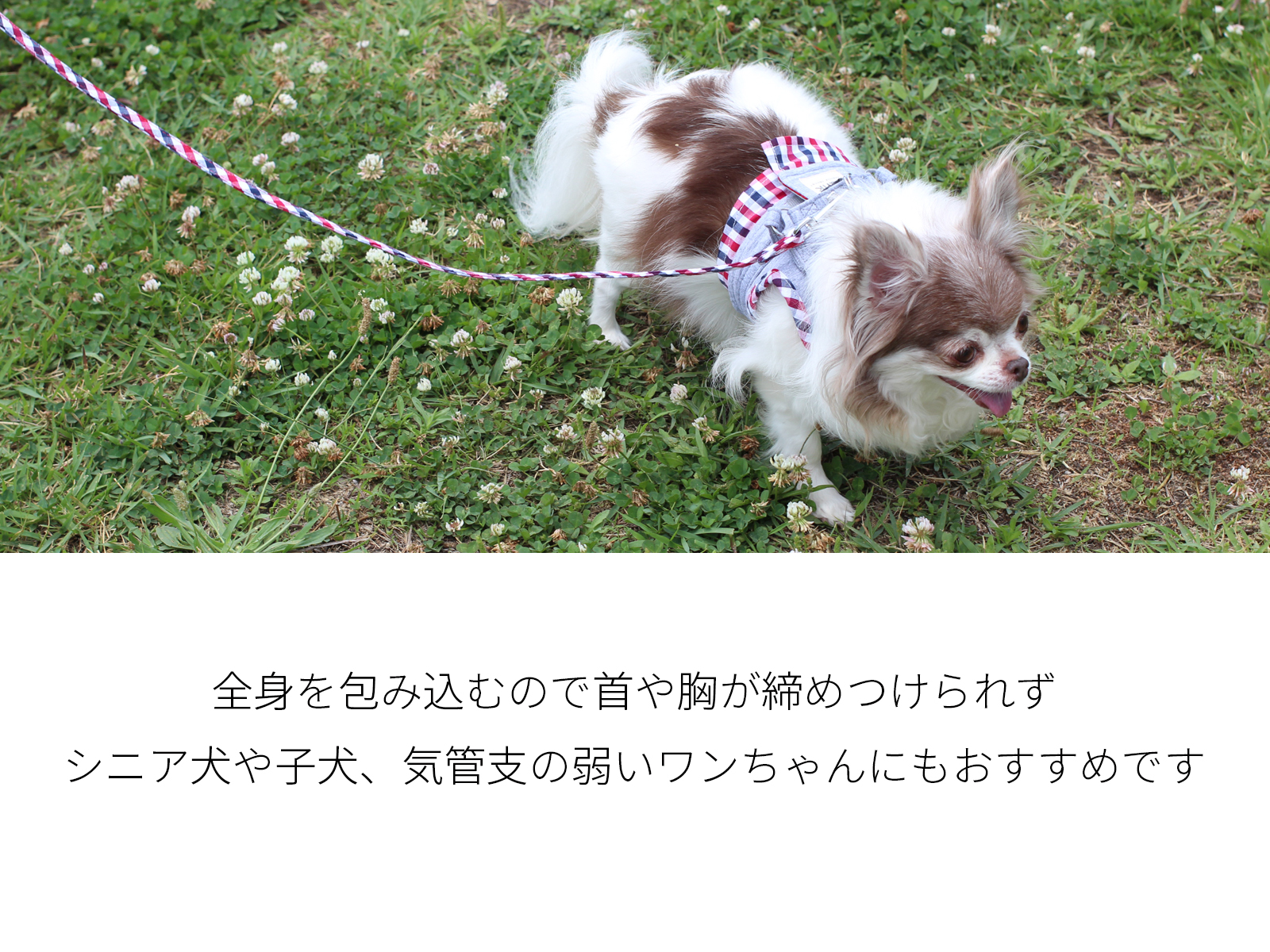 楽天市場 クリックポスト送料無料 犬 ハーネス 胴輪 ウエア Sサイズ 小型犬 散歩用 お出掛け マルチチェック Wh S ベスト チェック ピンク ブルー 青 おしゃれ かわいい ペットグッズ ツリー Tree Trunk おすすめ トランク Tree General Store