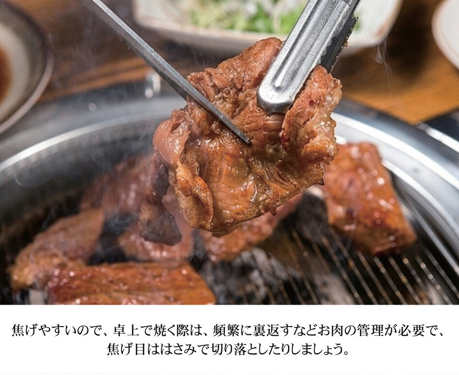 58%OFF!】 600g 秘伝のタレ漬け 佐賀産和牛カルビ焼き肉用 fucoa.cl