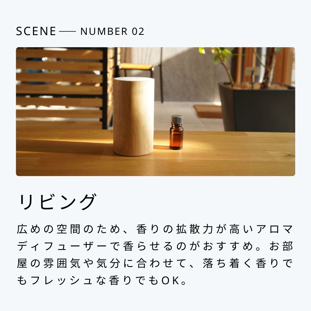 生活の木 公式 】大人気エッセンシャルオイル12本セット（5ml×12