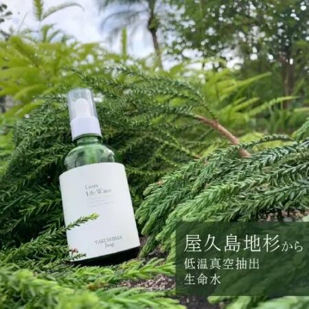 ライフウォーター　松葉 Lastraライフウォーター松葉 無添加 無農薬 低温真空抽出