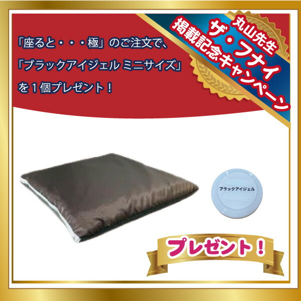 【10月31日まで期間限定・ブラックアイジェルサンプル付】丸山修寛開発商品・座ると...極（ガイアスコットンクッション）丸山修寛,開発商品,座ると...極,ガイアスコットンクッション,テラヘルツ,フラーレン,コイル,電磁波対策