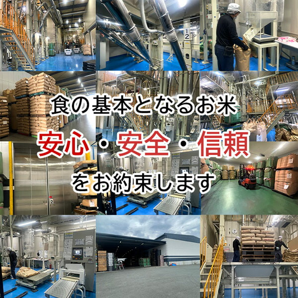 米お米15kgひのひかりヒノヒカリ(5kgx5袋)福岡県産送料無料こめ精米白米うるち米