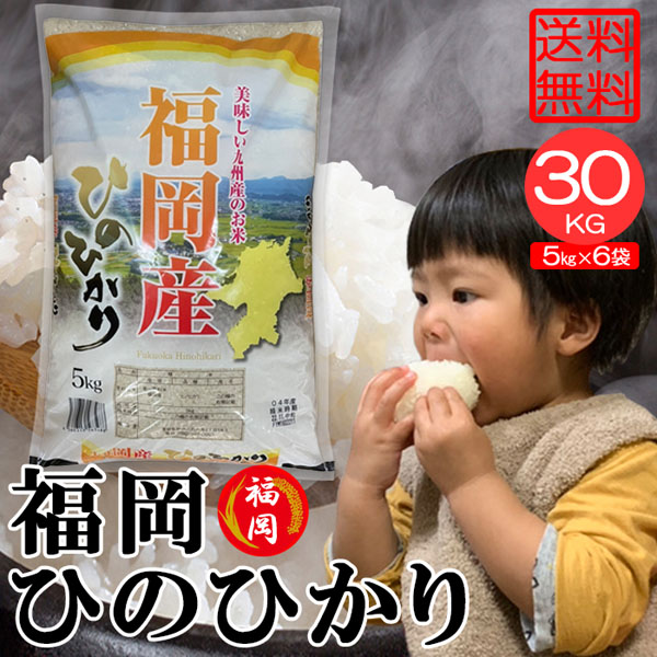 贈り物 福岡県産 ひのひかり 20kg 米 白米 最安値 お米 ブランド米