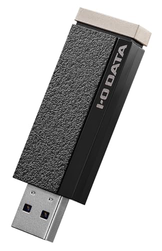 AVSSD-RS2 24第四次元年代順の連続録画/4K相応う 録画用突っ支い棒SSD 2結核症