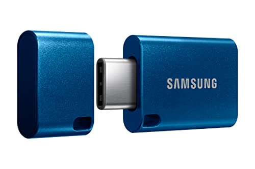 SAMSUNG Type-C・・ USBフラッシュドライブ 256GB 11秒で4GBのファイルを転送 最大400MB/秒 3.13の読み取り速度 USB 3.0 / 2.0対応 防水 2022