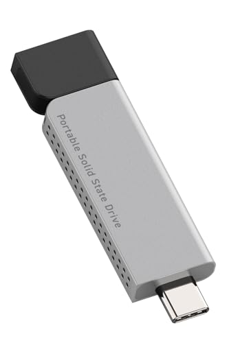 ロジテック SSD 外信用販売 1結核症 USB3.2 (Gen2) USB Type-C 弾丸道路か細い型 金属元素筐体 なおなお書き5 iPad 相応う 黒いこと LMD-ELSPH100UC