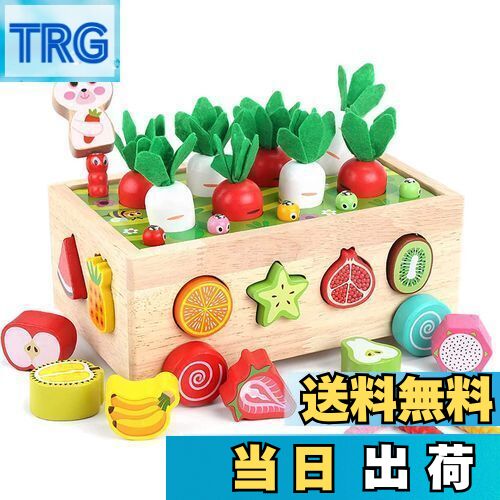 楽天市場】【送料無料】Canplus 犬 噛むおもちゃ 犬のおもちゃのロープ