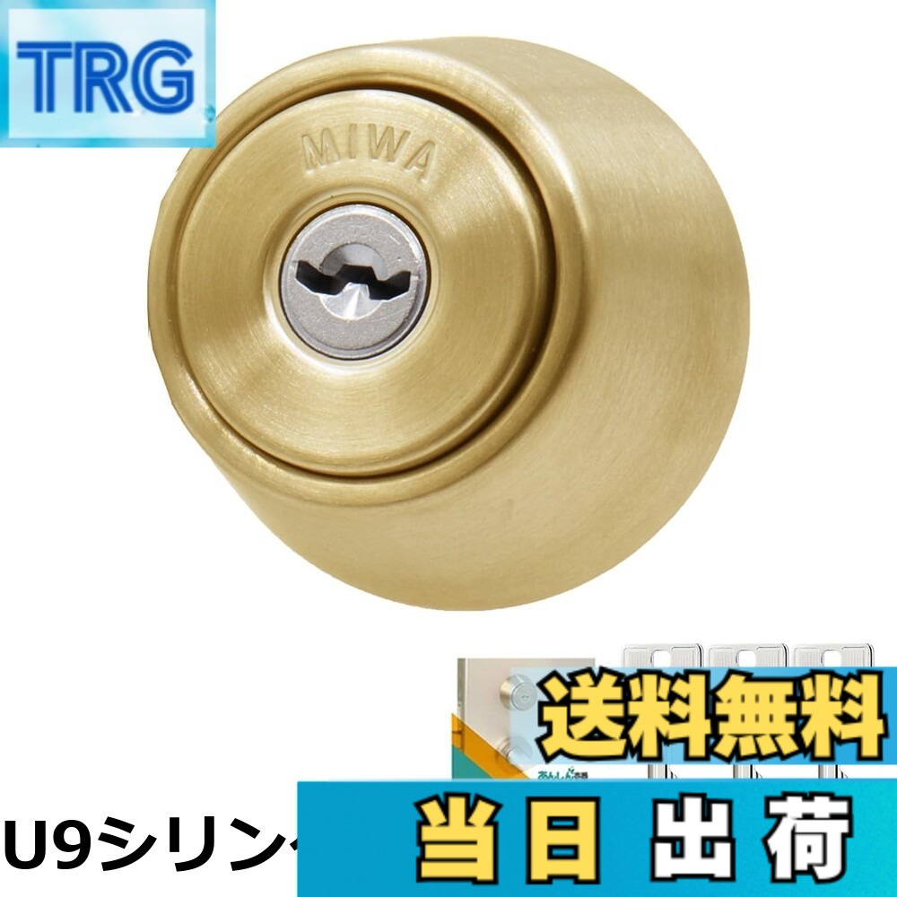 【送料無料】LSPシリンダー BS色｜ＴＲＧ