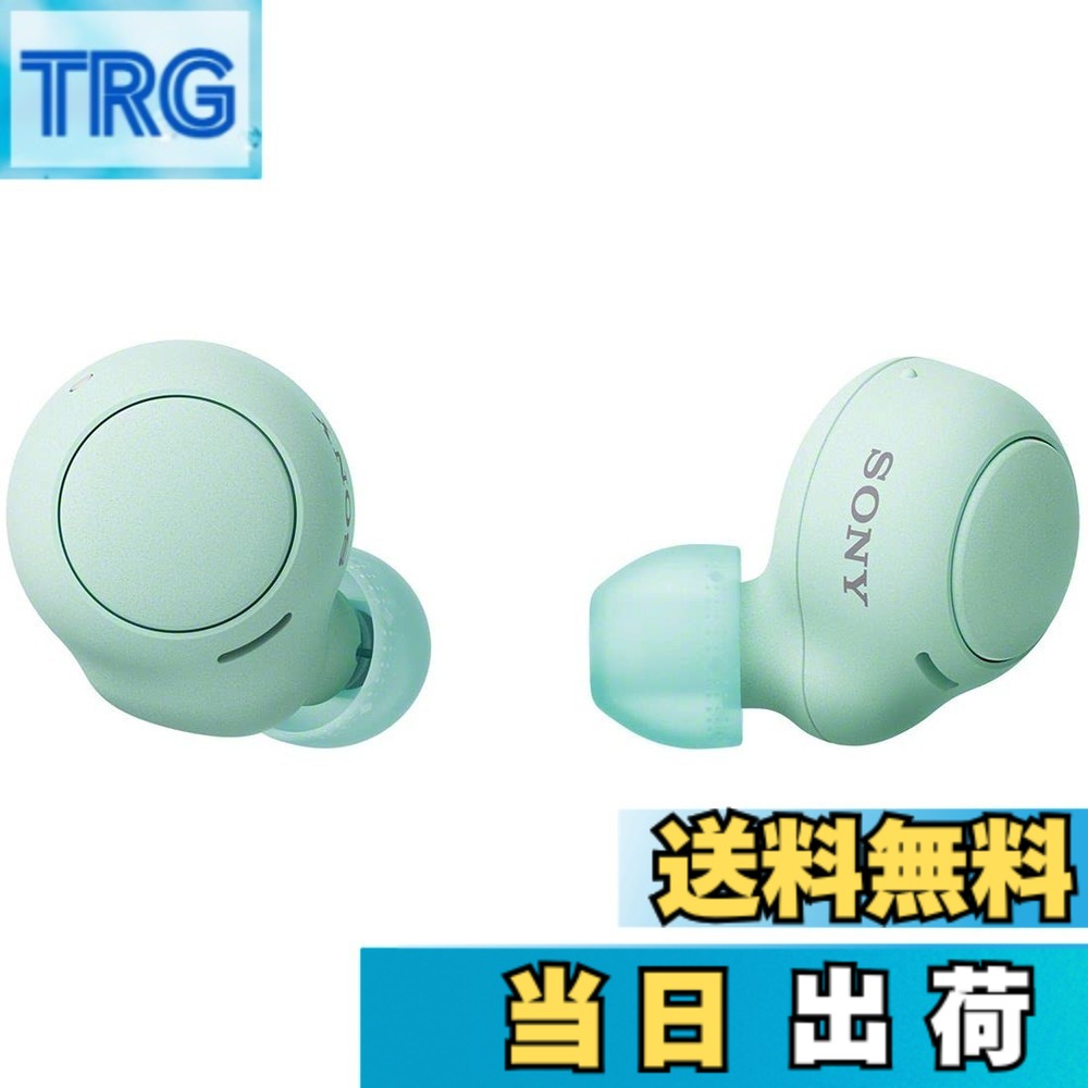 【送料無料】ソニー(SONY) 完全ワイヤレスイヤホン WF-C500 : /軽量小型5.4g/高精度通話品質/簡単ペアリング/IPX4防滴性能/アイスグリーン WF-C500 GZ