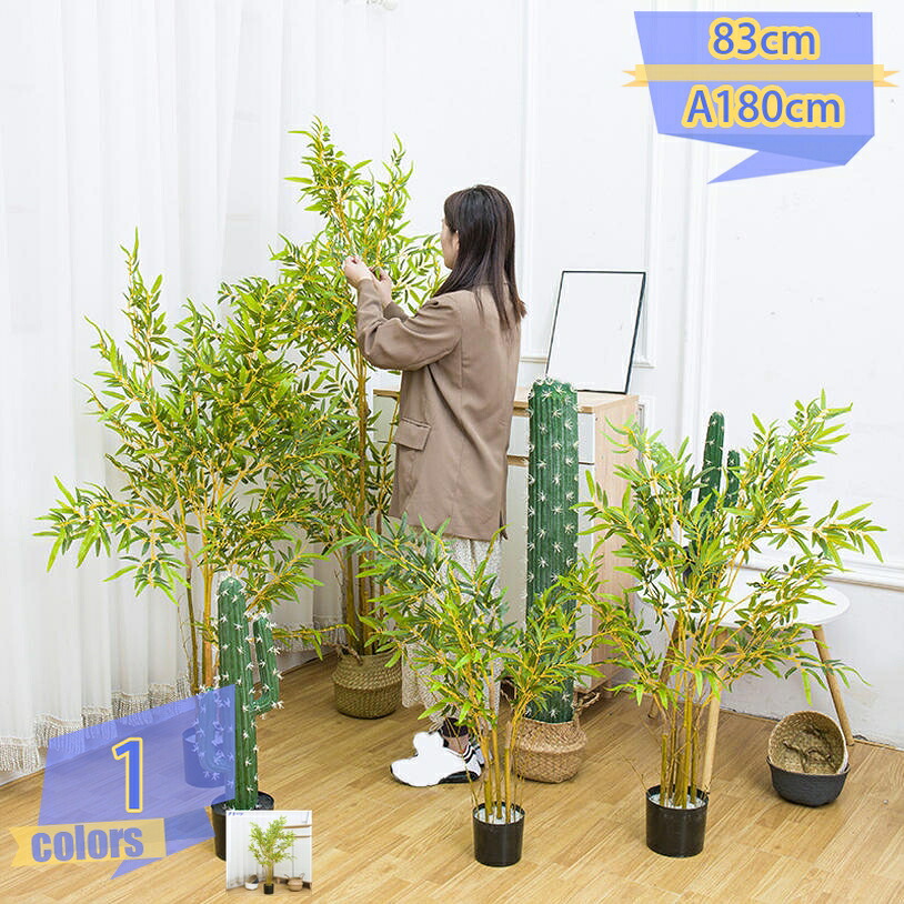 500円OFF引き換え証 バンブー フェイクグリーン 観葉草木 如何様物 造花 人工観葉草木 大型 開運 風水 泊まり 室内装飾 即物的 今めかしい 儀式用 樹 木 室内 円卓会議室 執務室 お部屋 分かりやすい 抗菌 消臭 観葉樹 防臭 抗菌 開店祝賀会 引っ越し祝賀会 tribal-shop