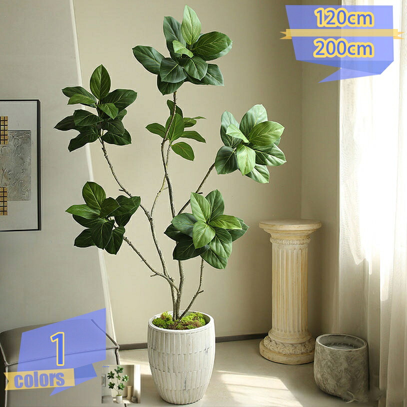 1000円OFFクーポン ゴムの木 観葉植物 水やり不要 害虫駆除不要 本物そっくり 大型 室内用 金運アップ 風水 永遠の命 おしゃれ インテリア 大きい ギフト プレゼント お祝い お手入れ簡単 樹 木 玄関 リビング オフィス ホーム 新築祝いの装飾 tribal-shop|トライバルショップ