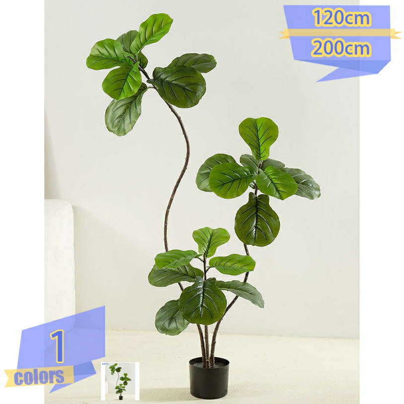 1000円OFFクーポン フェイクグリーン フィカス・ウンベラータ 造花 人工 観葉植物 フェイク 室内 部屋 風水 リビング 玄関 葉 葉っぱ 室内用 初心者 インテリア 観覧植物 人工観葉樹 シンプル オフィス 大型 おしゃれ お祝い 父の日 お洒落 寝室 ギフト プレゼント 10,690円