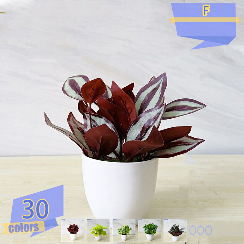 500円OFF引き換え証 フェイクグリーン お取りつくろう飾り気の無い 害虫が生まれ育つしない 癒し 本物そっくり 寄せ植え 卓上 ミニ 小型 即物的 造花 人工観葉 褒めたたえる用 今めかしい 室内装飾 寄植え 10点仕掛ける 人工観葉草木 差し上げ物 儀式用 開店祝賀会 開業祝賀会 飾りつけ 差し上げ物用 tribal-shop