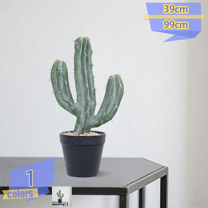 500円OFF引き換え証 フェイクグリーン ウチワサボテン 観葉草木 作り物御花 造花 見せびらかす ボタニカル 室内装飾 今めかしい おお部屋に飾るだけで伸び伸びする成り行きが味わえる 如何様物 即物的 室内装飾緑であること ラウンドポット たわい無い パウダーコンパクト 室内用便器