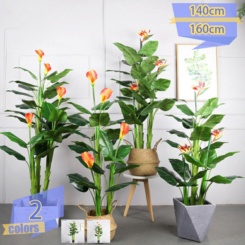 1000円OFFクーポン券 人工観葉草木 ストレリッチア フェイクグリーン 造花 鉢植え 水やり不必要 室内装飾 御祭り 生まれ落ちる日 生み出すこと内祝い 開店祝賀会 未経験者 部屋の入り口 リビング 勝手もと 風呂場 洗面所 室内用 好いたらしい 今めかしい 消臭 抗菌 観葉樹 畏まり 差し上げ物 差し上げ物