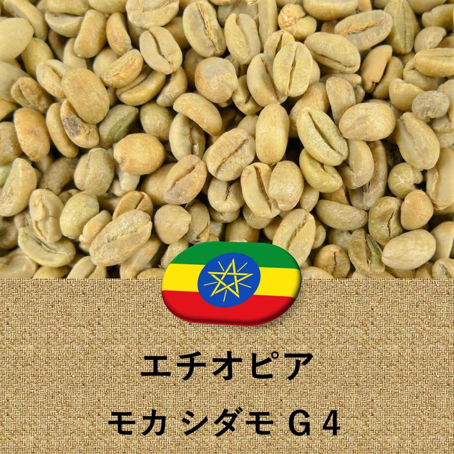 コーヒー豆 エチオピア産 モカ シダモ G4 未焙煎 生豆 100g 907g 4536g 10kg 014151.com