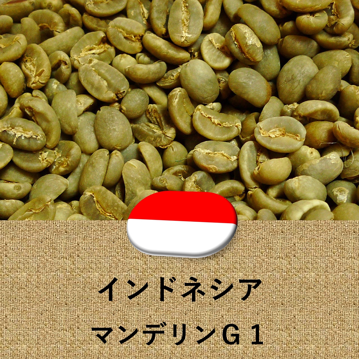 コーヒー豆 インドネシア産 マンデリン G1 未焙煎 生豆 100g～ プレゼント ギフト 014151.com