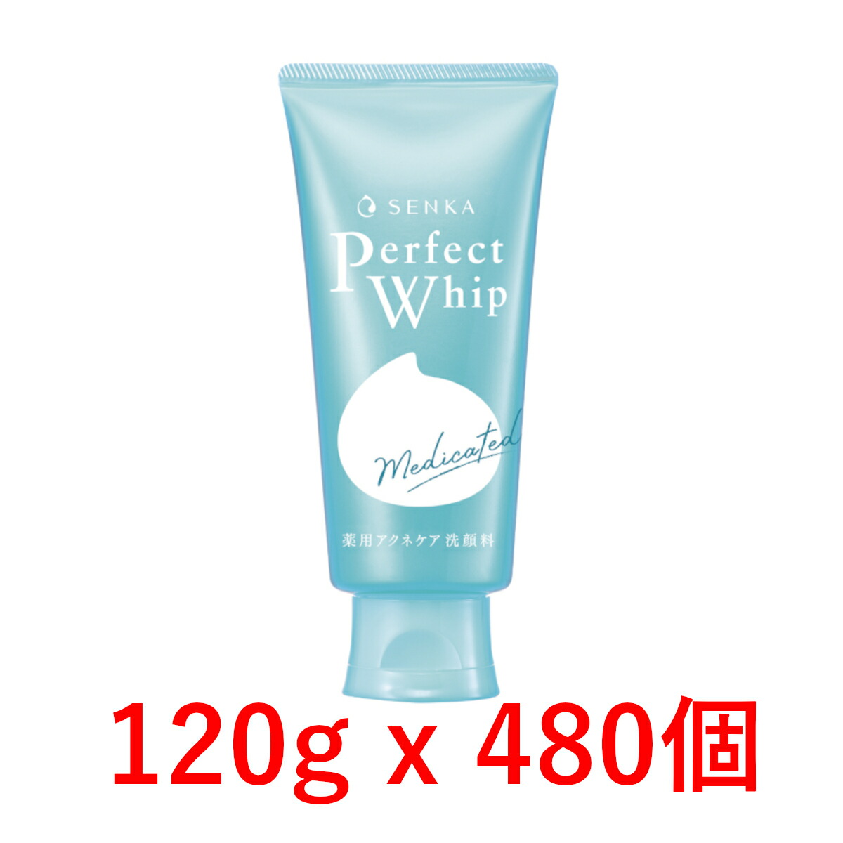 本店は 洗顔専科 パーフェクトホイップ アクネケア 120g x 480個 洗顔フォーム 資生堂 医薬部外品 fucoa.cl