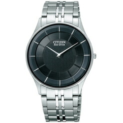 CITIZEN シチズン AR3010-65E