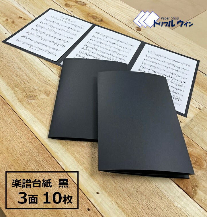 BASI レコード　3枚セット オリジナル】インサート型レコードフレーム BBLP-3BR | wear the spirits