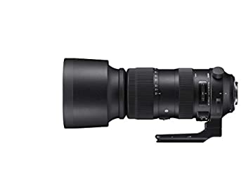 【中古】 Sports 60-600mm F4.5-6.3 DG OS HSM Canon EFマウント 198,700円