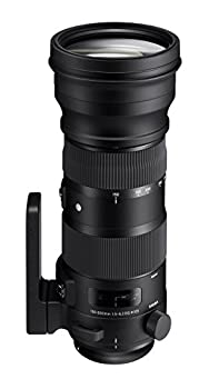 【中古】 SIGMA 150-600mm F5-6.3 DG OS HSM | Sports S014 | Canon EFマウント | Full-Size Large-Format