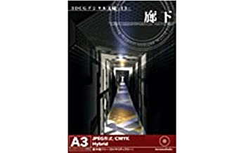 【中古】 3DCGデジタル文様 13 廊下|バリューコネクト