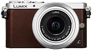 Panasonic パナソニック ミラーレス一眼 GM1S レンズキット ブラウン DMC-GM1SK-T