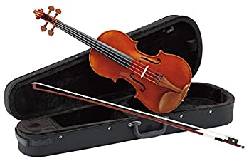 カルロジョルダーノ バイオリンアウトフィット VS-2 弦楽器 | yealink