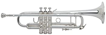 【中古】 V.Bach 180ML37 25SP Bb 唐人笛