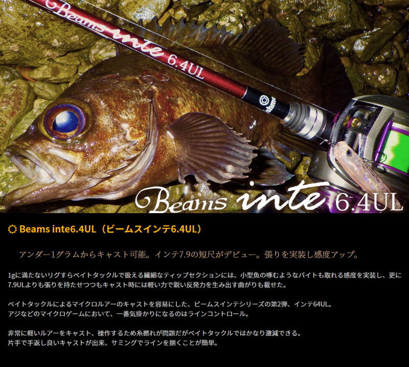 フィッシュマン ビームス インテ 6.4UL fishman | newventures.org