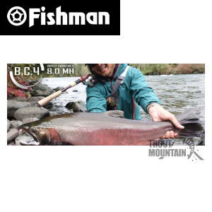 通販 激安◇ Fishman フィッシュマン 4571487900337 ビーシーフォー