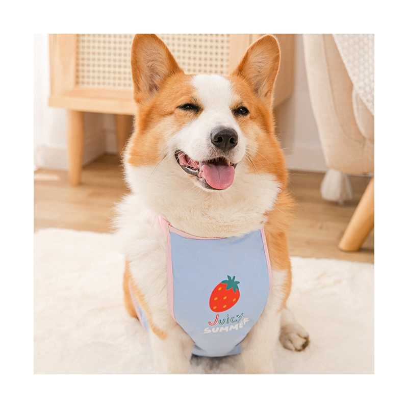 宅配便配送 泥よけエプロン ドッグ犬服 レインコート 犬用 防水 マジックテープ サイズ調整可能 雨 雪 泥 お出かけ お散歩 小型犬 中型犬 Whitesforracialequity Org