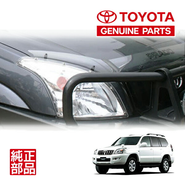 TKテック ランドクルーザー 120 プラド バグガード T.K TECH | 120プラド用カスタムパーツ バグガード