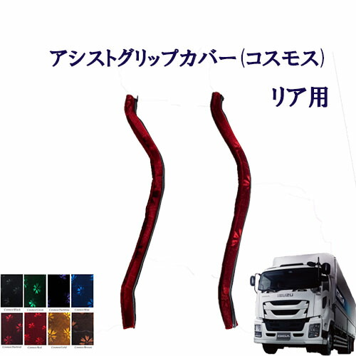 asistr-fgiga-cos.jpg