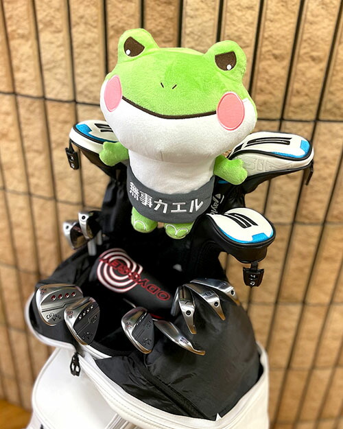 金華山ぬいぐるみ　ブルドッグ　 　かわいい　内装　ターン　TURN　オリジナル　ぬいぐるみ　プレゼント　カスタム　パペット　ブルドック　大花束　犬　ぶるどっぐ　わんこ　わんわん　わんちゃん